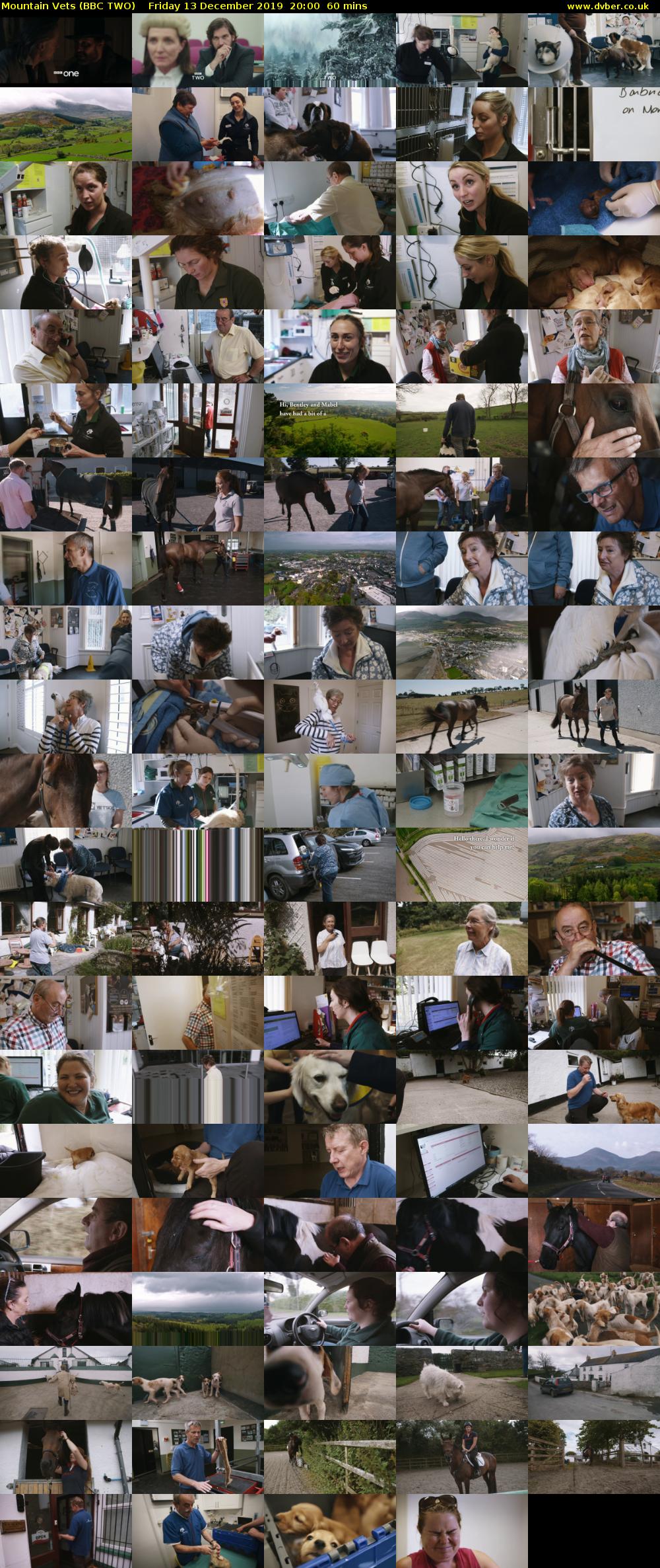 Mountain Vets (BBC TWO) Friday 13 December 2019 20:00 - 21:00
