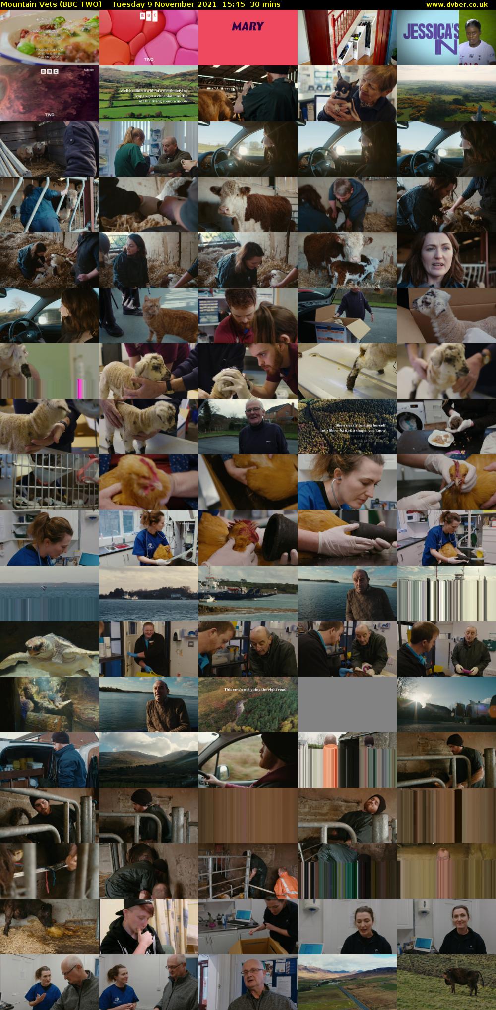 Mountain Vets (BBC TWO) Tuesday 9 November 2021 15:45 - 16:15
