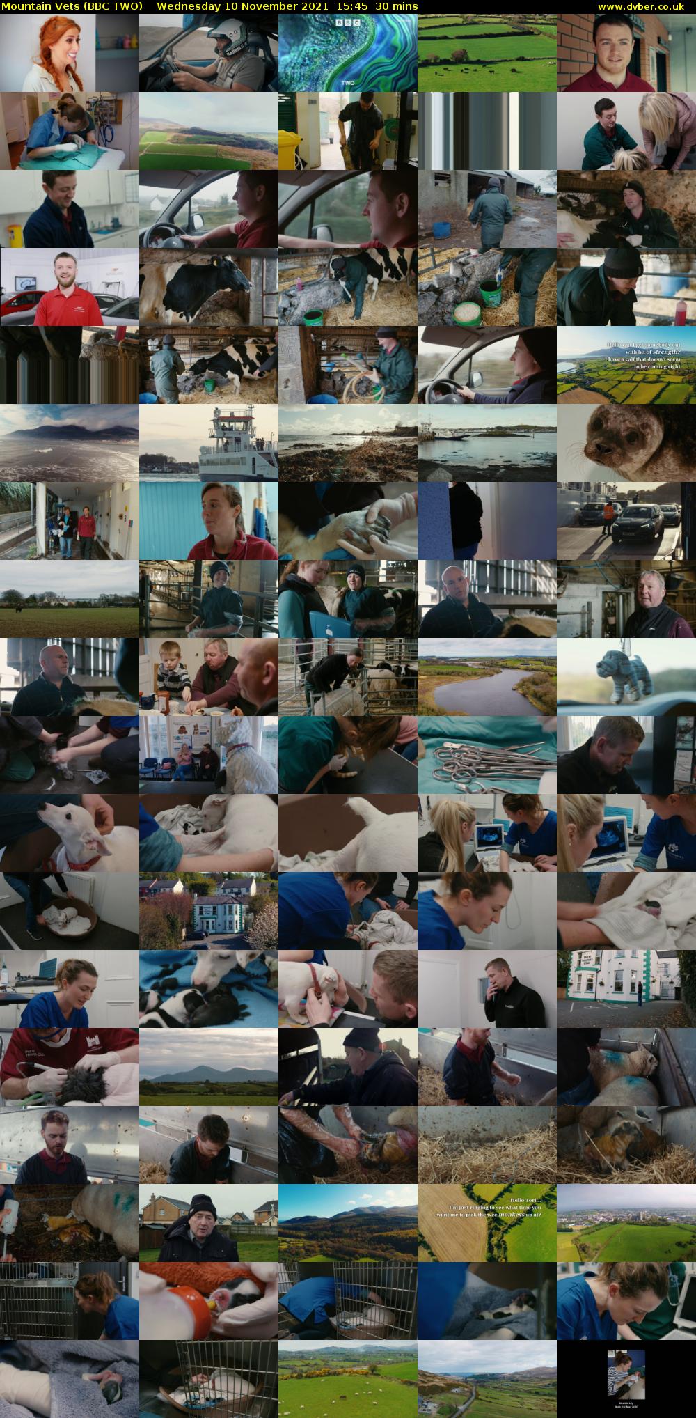 Mountain Vets (BBC TWO) Wednesday 10 November 2021 15:45 - 16:15