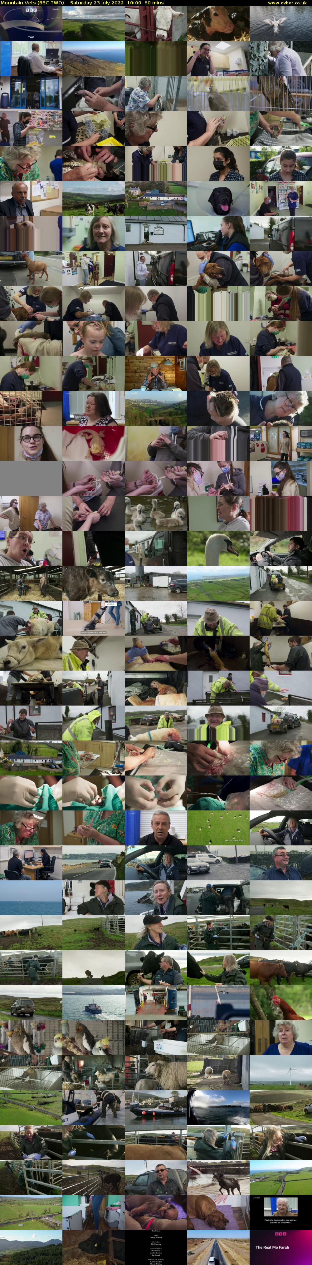 Mountain Vets (BBC TWO) Saturday 23 July 2022 10:00 - 11:00