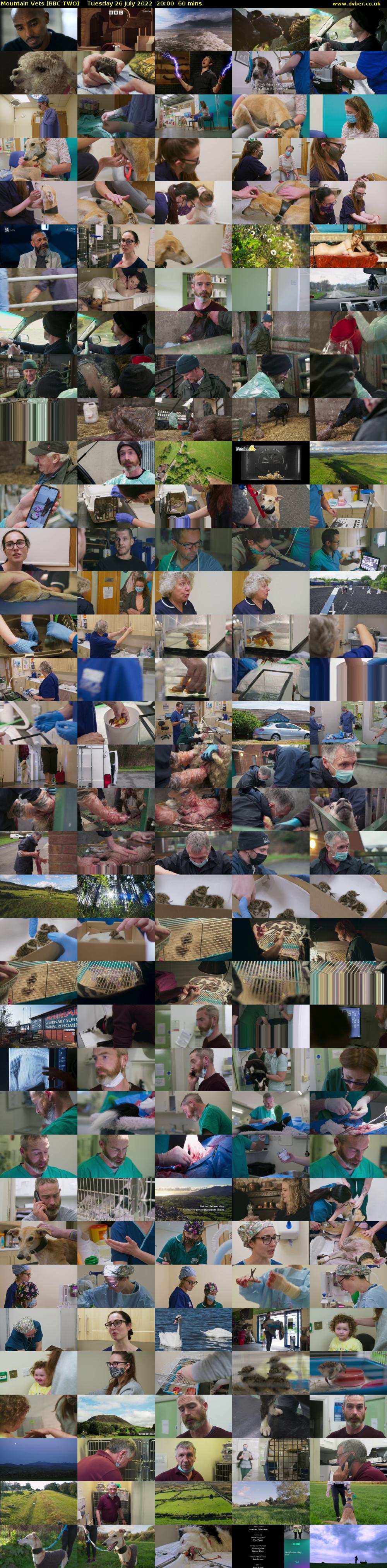 Mountain Vets (BBC TWO) Tuesday 26 July 2022 20:00 - 21:00