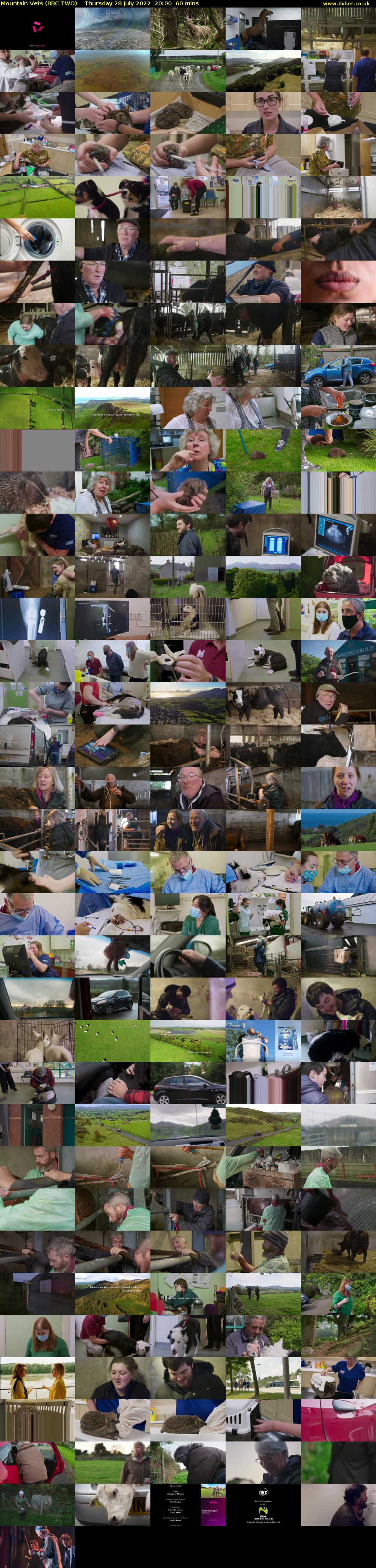 Mountain Vets (BBC TWO) Thursday 28 July 2022 20:00 - 21:00