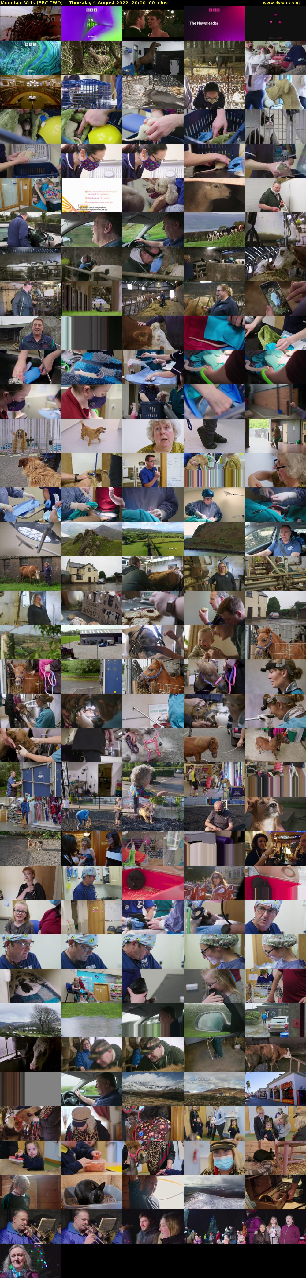 Mountain Vets (BBC TWO) Thursday 4 August 2022 20:00 - 21:00
