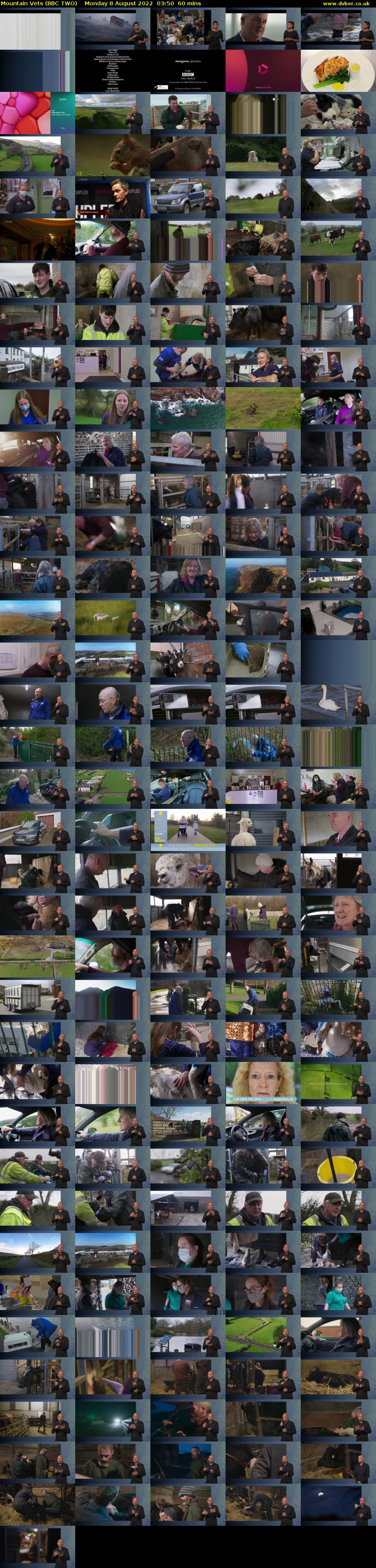 Mountain Vets (BBC TWO) Monday 8 August 2022 03:50 - 04:50