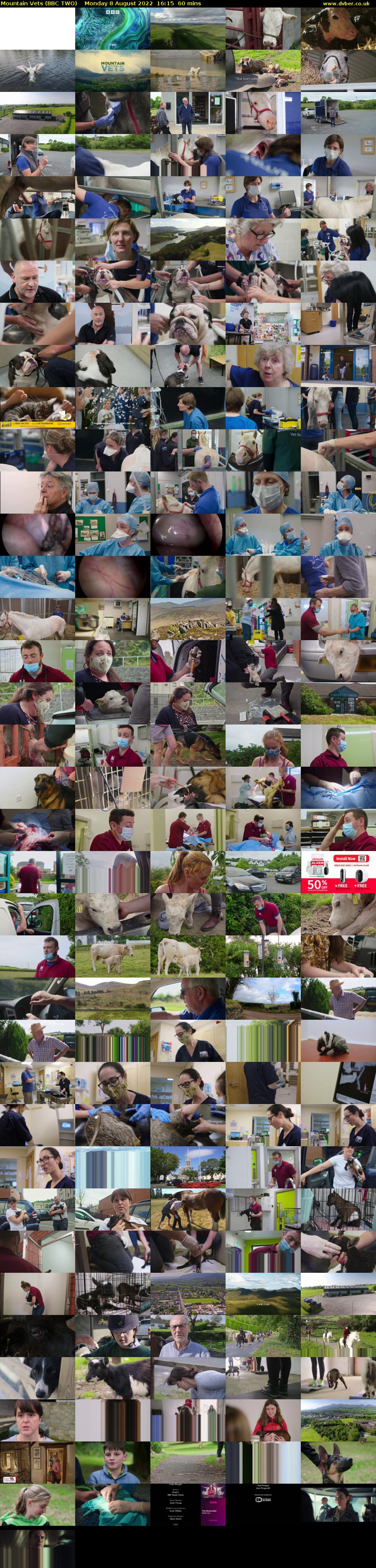 Mountain Vets (BBC TWO) Monday 8 August 2022 16:15 - 17:15