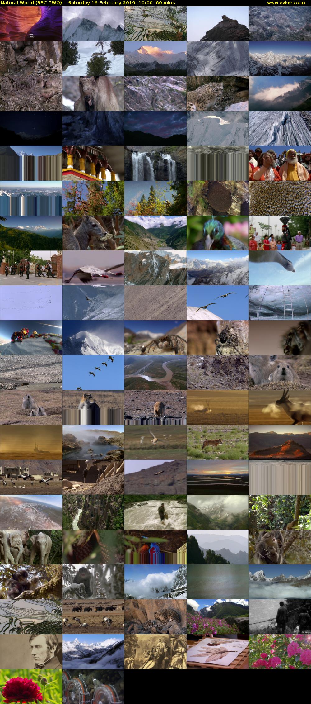 Natural World (BBC TWO) Saturday 16 February 2019 10:00 - 11:00