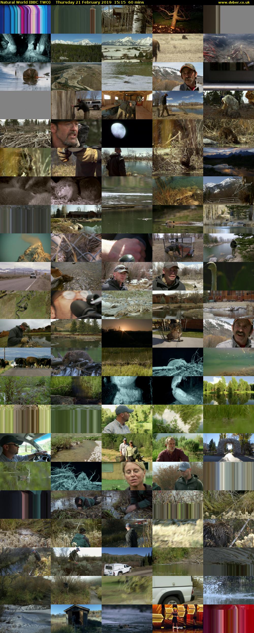 Natural World (BBC TWO) Thursday 21 February 2019 15:15 - 16:15