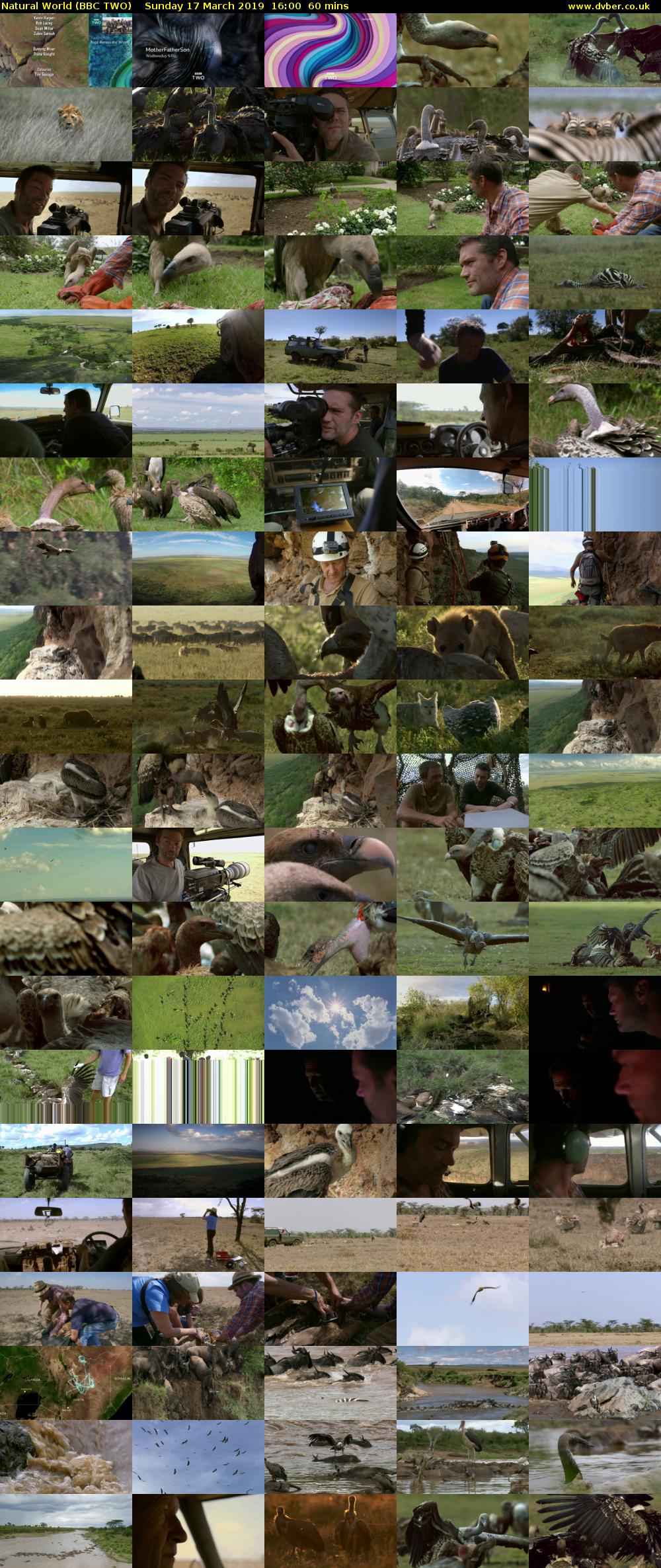 Natural World (BBC TWO) Sunday 17 March 2019 16:00 - 17:00