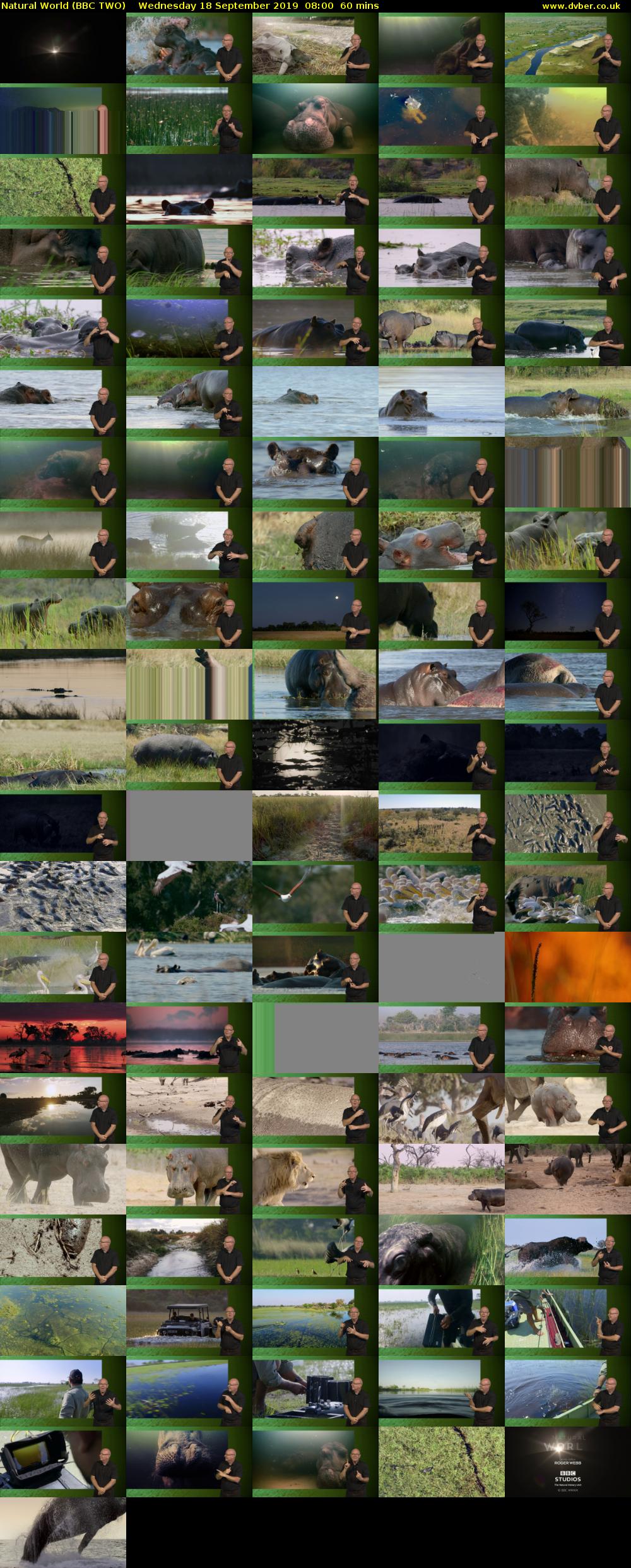 Natural World (BBC TWO) Wednesday 18 September 2019 08:00 - 09:00
