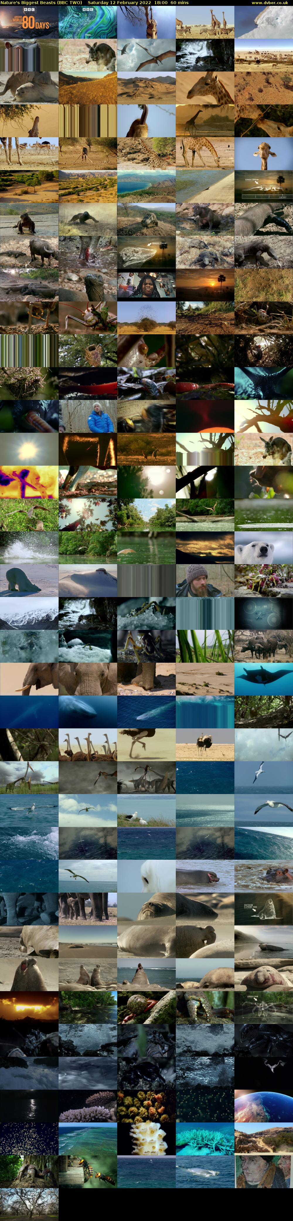 Nature's Biggest Beasts (BBC TWO) Saturday 12 February 2022 18:00 - 19:00