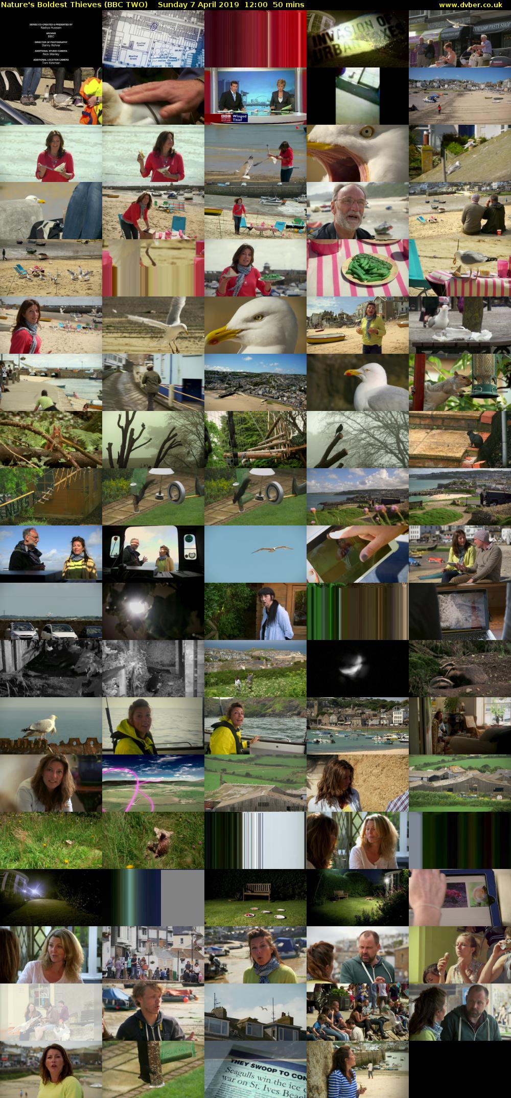 Nature's Boldest Thieves (BBC TWO) Sunday 7 April 2019 12:00 - 12:50