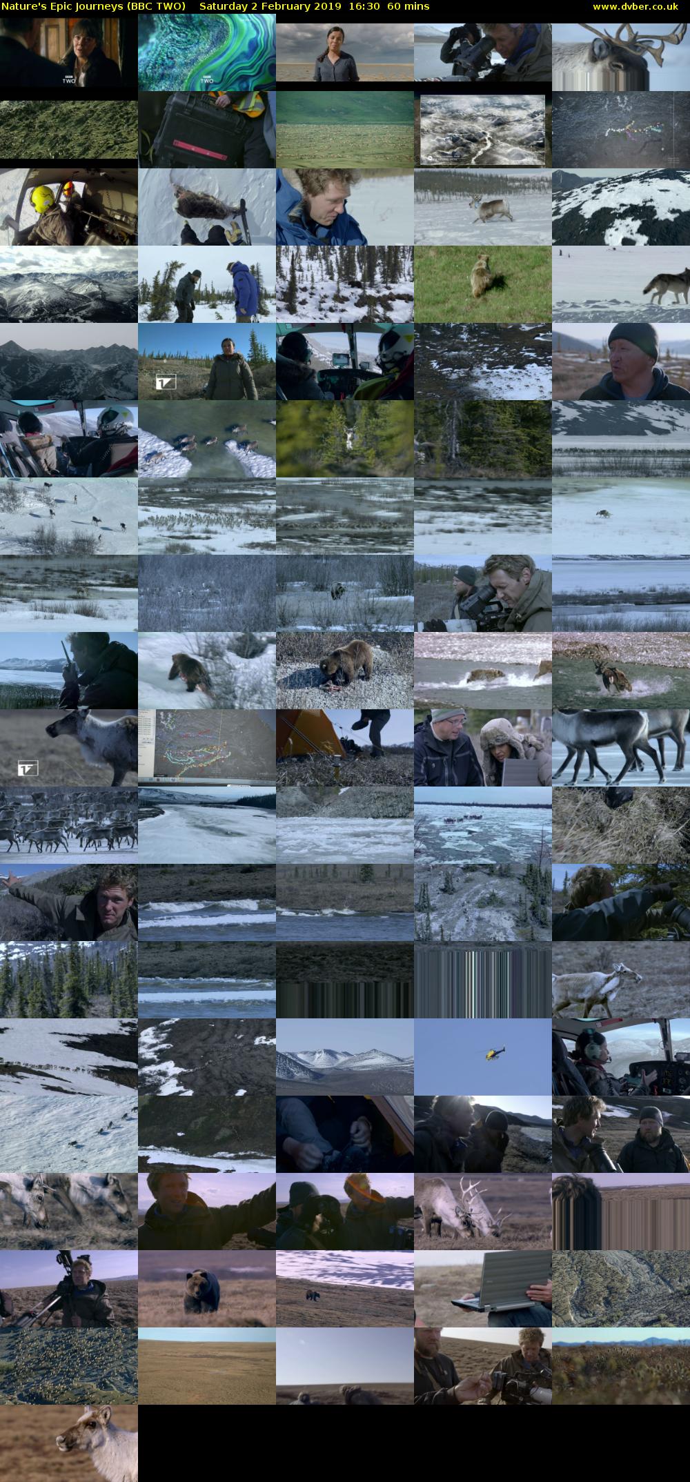Nature's Epic Journeys (BBC TWO) Saturday 2 February 2019 16:30 - 17:30