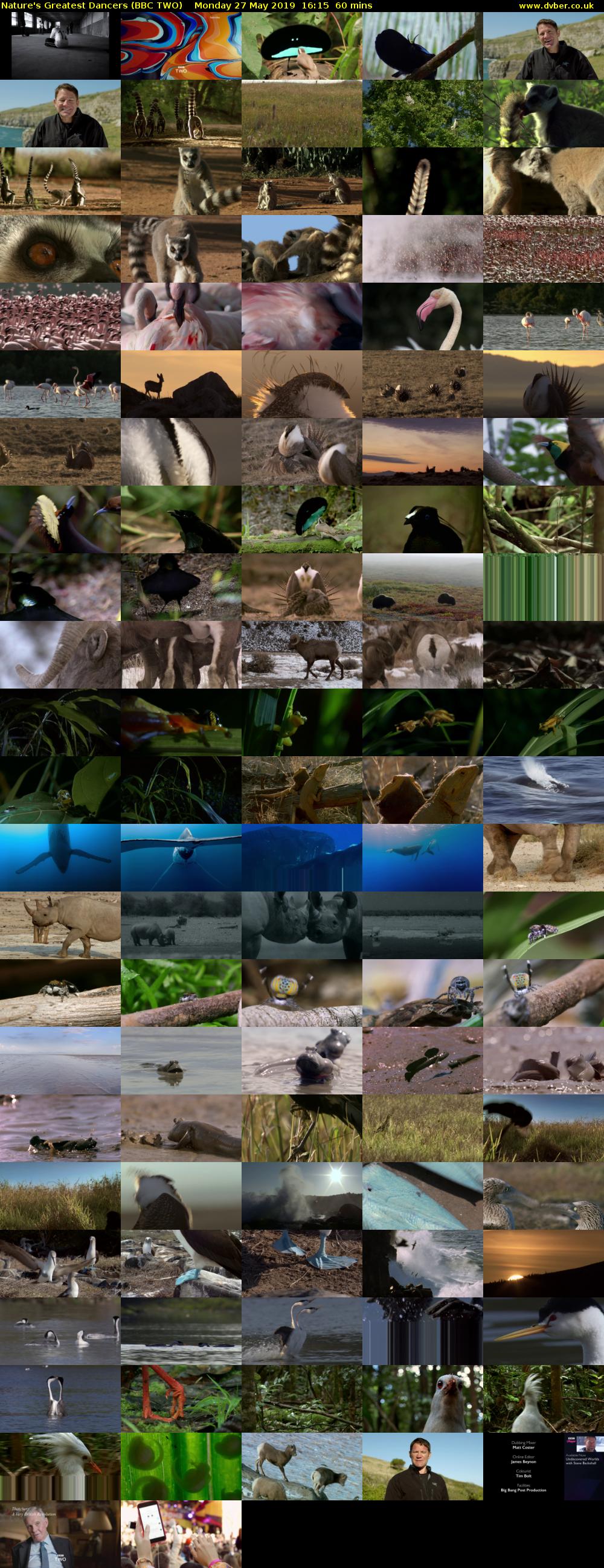 Nature's Greatest Dancers (BBC TWO) Monday 27 May 2019 16:15 - 17:15