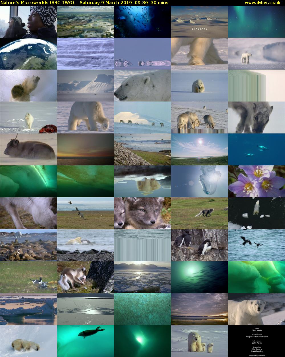 Nature's Microworlds (BBC TWO) Saturday 9 March 2019 09:30 - 10:00