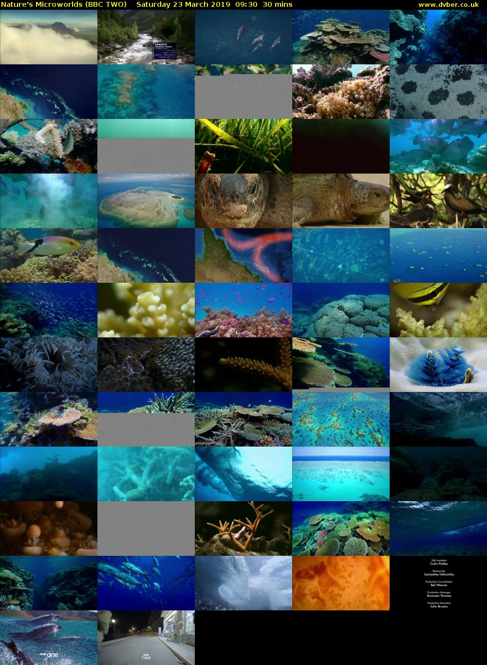 Nature's Microworlds (BBC TWO) Saturday 23 March 2019 09:30 - 10:00