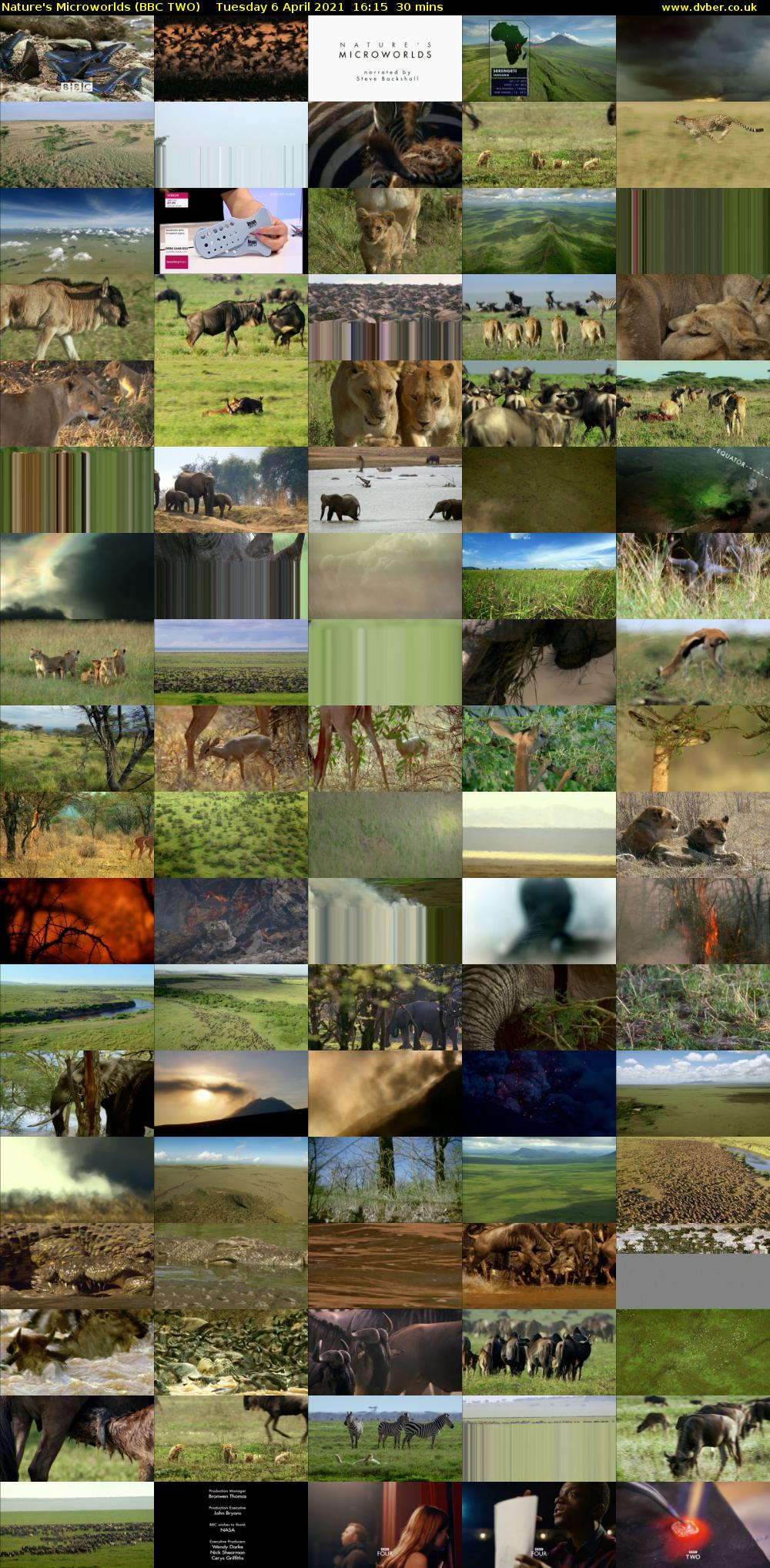 Nature's Microworlds (BBC TWO) Tuesday 6 April 2021 16:15 - 16:45