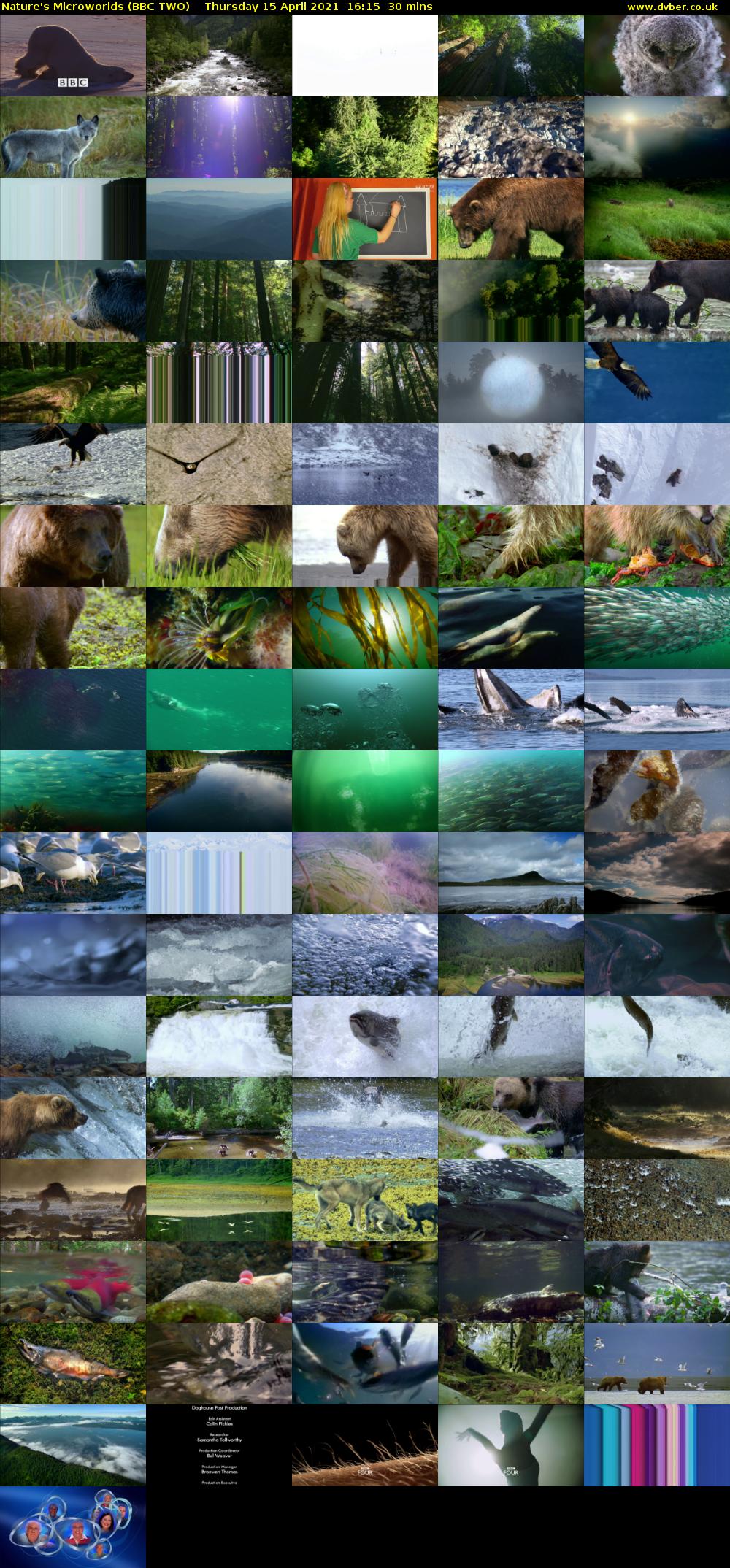 Nature's Microworlds (BBC TWO) Thursday 15 April 2021 16:15 - 16:45
