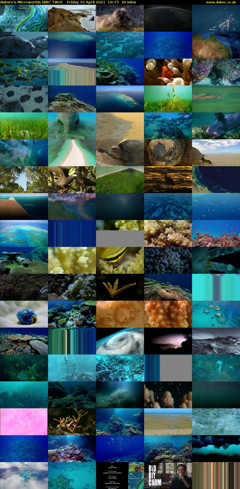 Nature's Microworlds (BBC TWO) Friday 16 April 2021 16:15 - 16:45