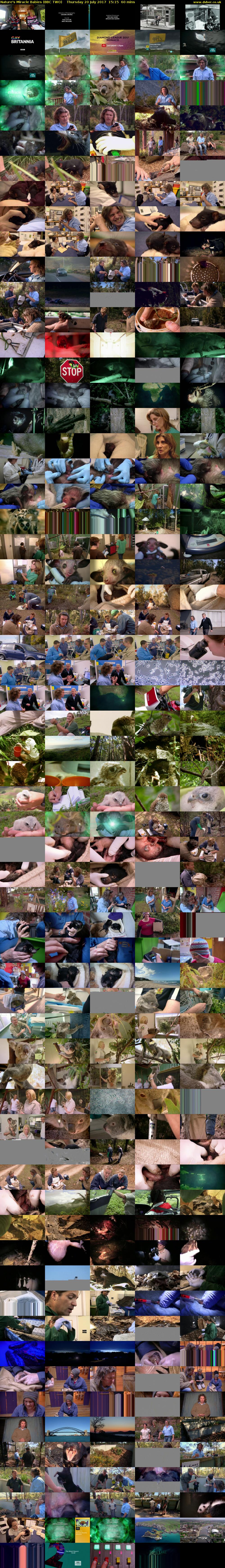 Nature's Miracle Babies (BBC TWO) Thursday 20 July 2017 15:15 - 16:15