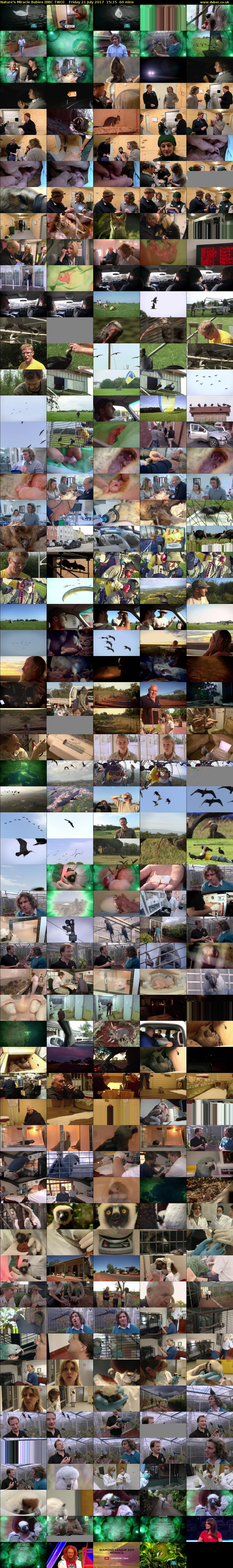 Nature's Miracle Babies (BBC TWO) Friday 21 July 2017 15:15 - 16:15