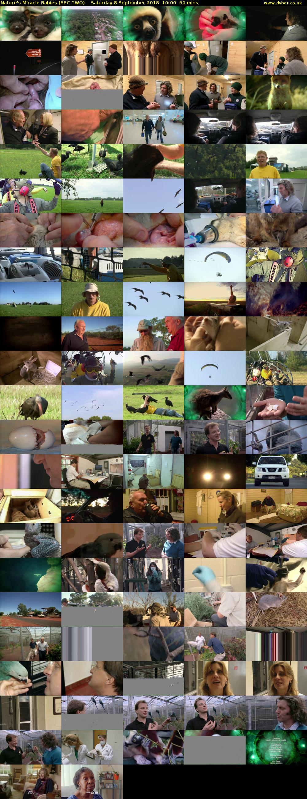 Nature's Miracle Babies (BBC TWO) Saturday 8 September 2018 10:00 - 11:00
