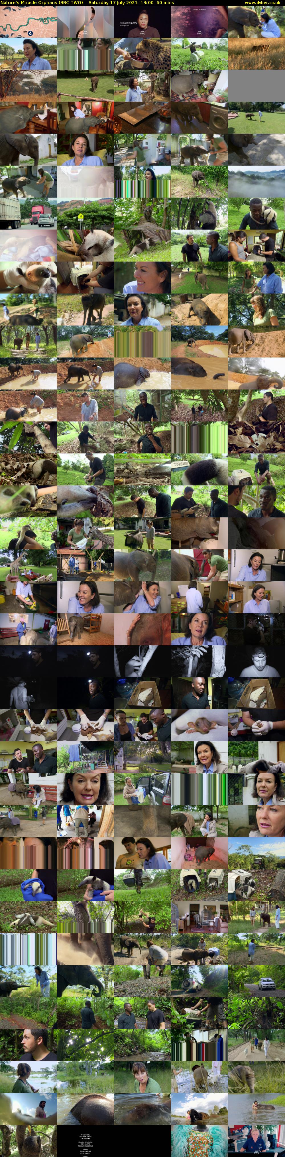 Nature's Miracle Orphans (BBC TWO) Saturday 17 July 2021 13:00 - 14:00