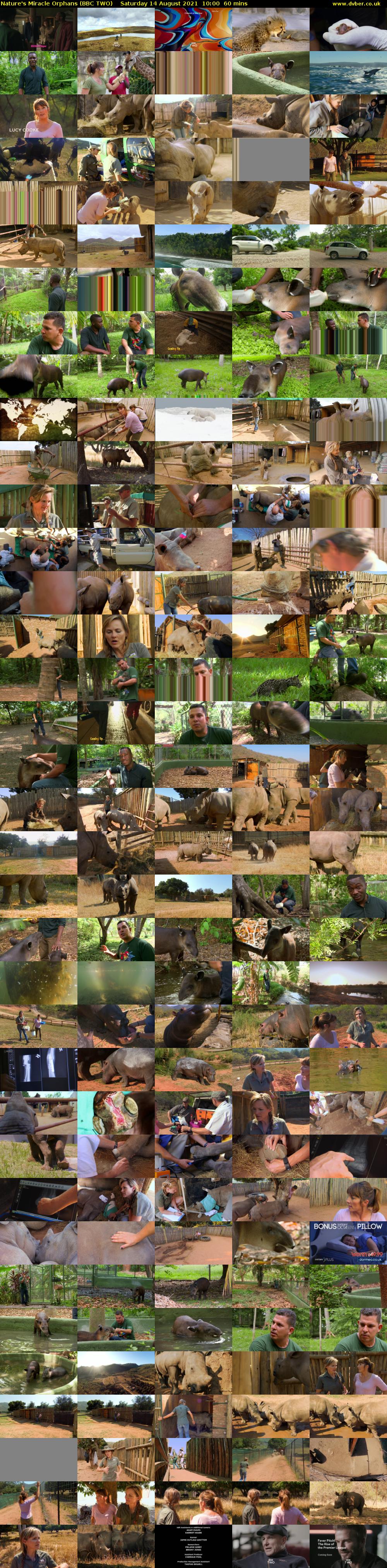 Nature's Miracle Orphans (BBC TWO) Saturday 14 August 2021 10:00 - 11:00