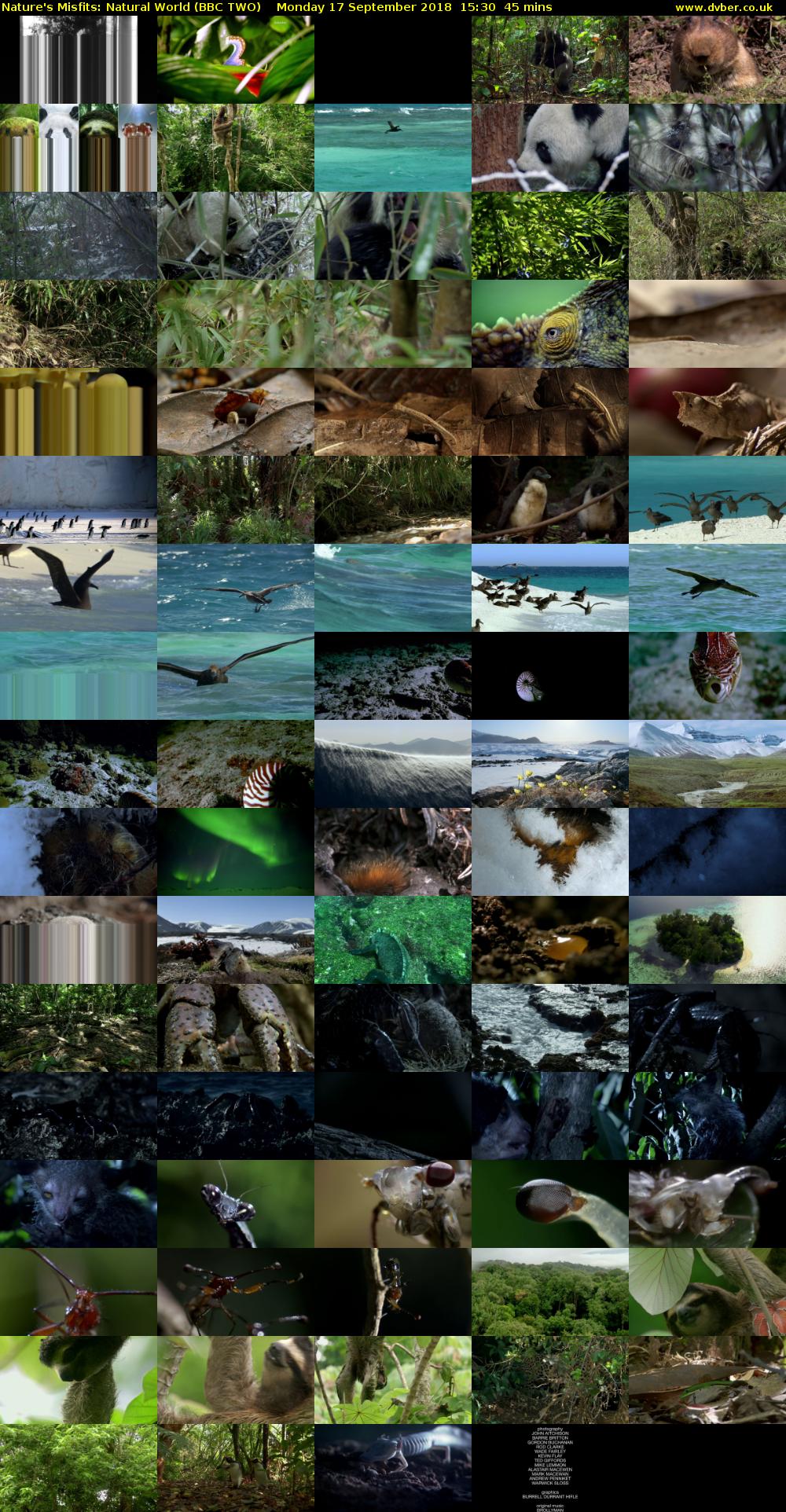 Nature's Misfits: Natural World (BBC TWO) Monday 17 September 2018 15:30 - 16:15