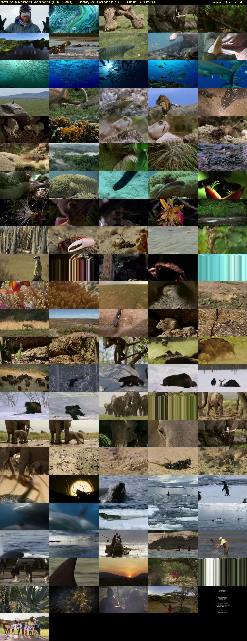 Nature's Perfect Partners (BBC TWO) Friday 26 October 2018 14:45 - 15:45