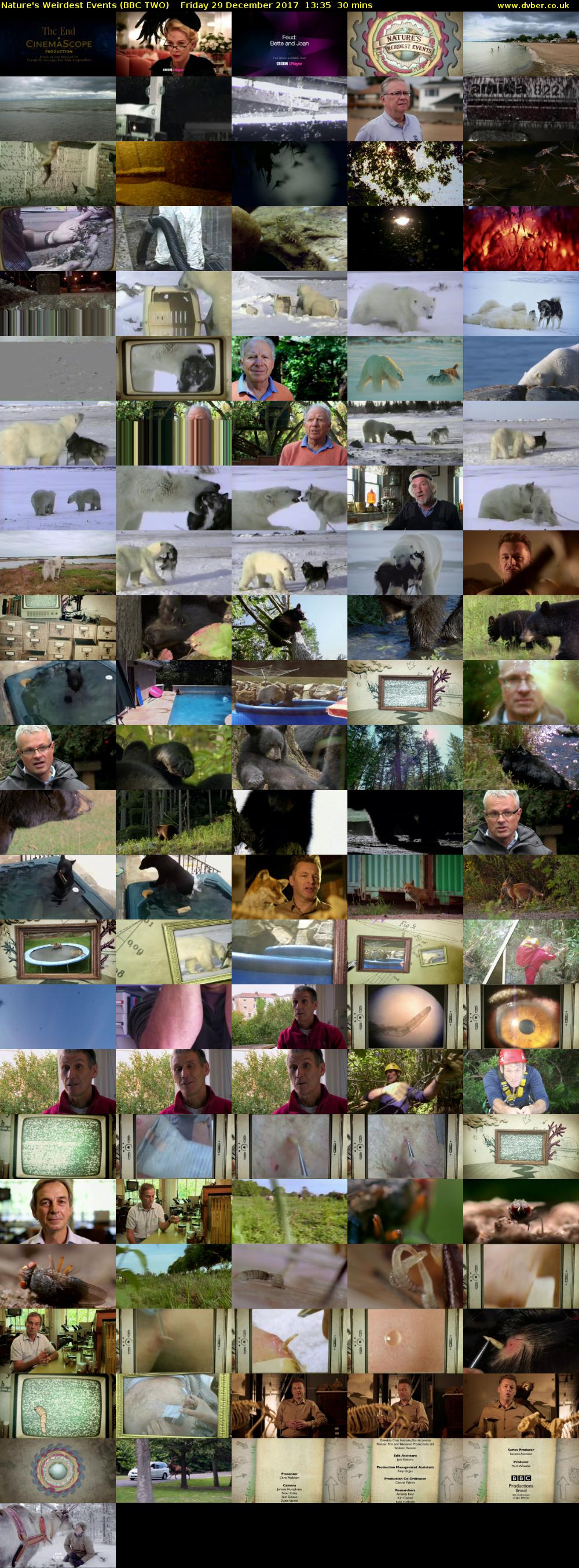 Nature's Weirdest Events (BBC TWO) Friday 29 December 2017 13:35 - 14:05
