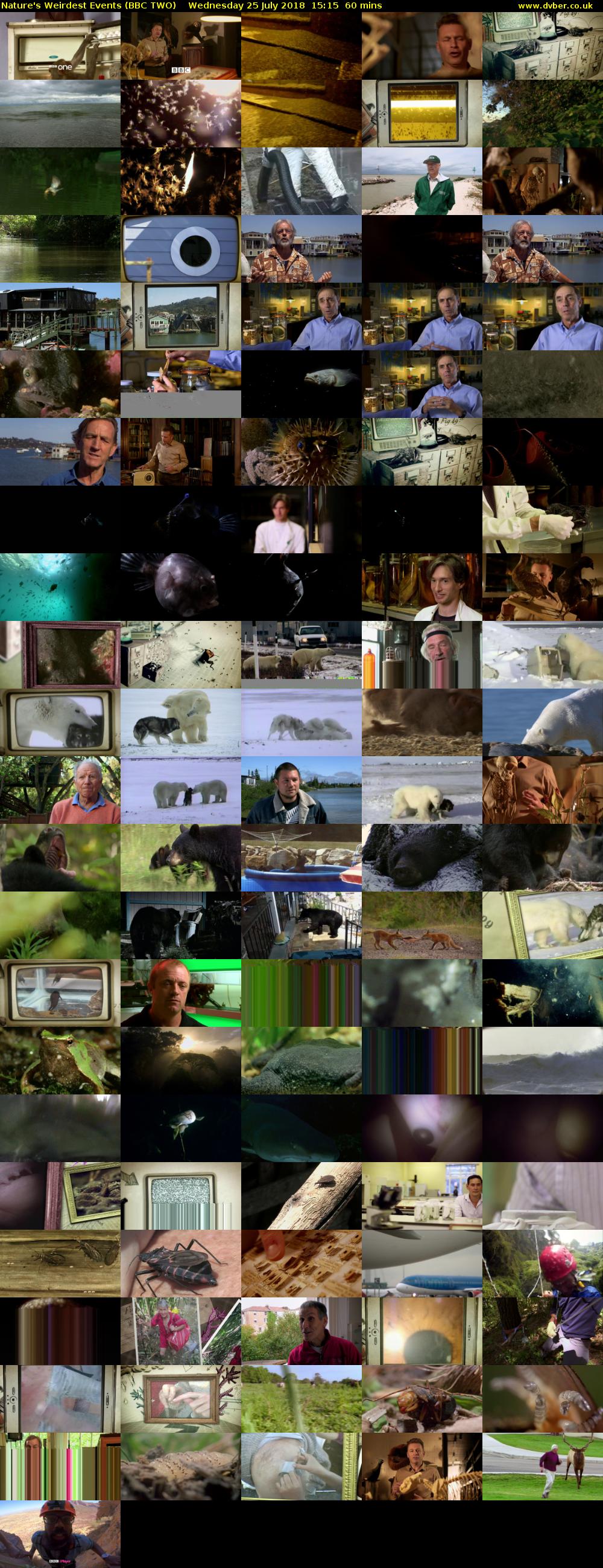 Nature's Weirdest Events (BBC TWO) Wednesday 25 July 2018 15:15 - 16:15