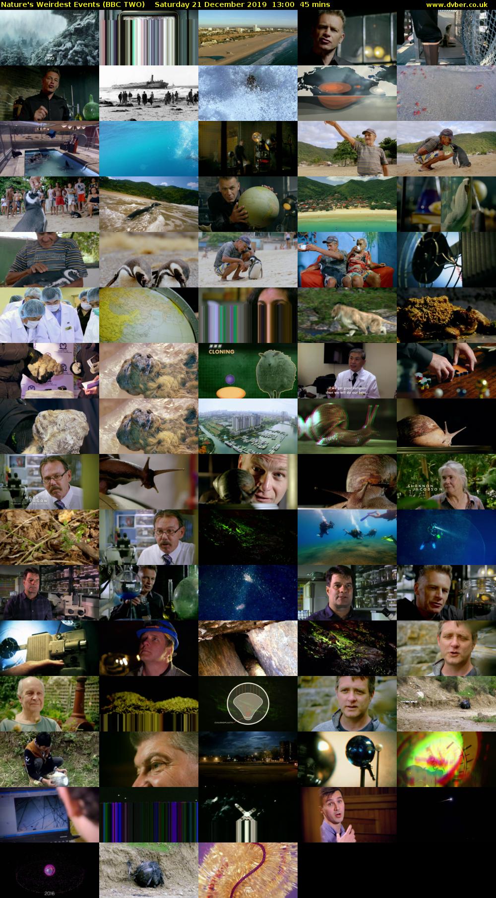 Nature's Weirdest Events (BBC TWO) Saturday 21 December 2019 13:00 - 13:45