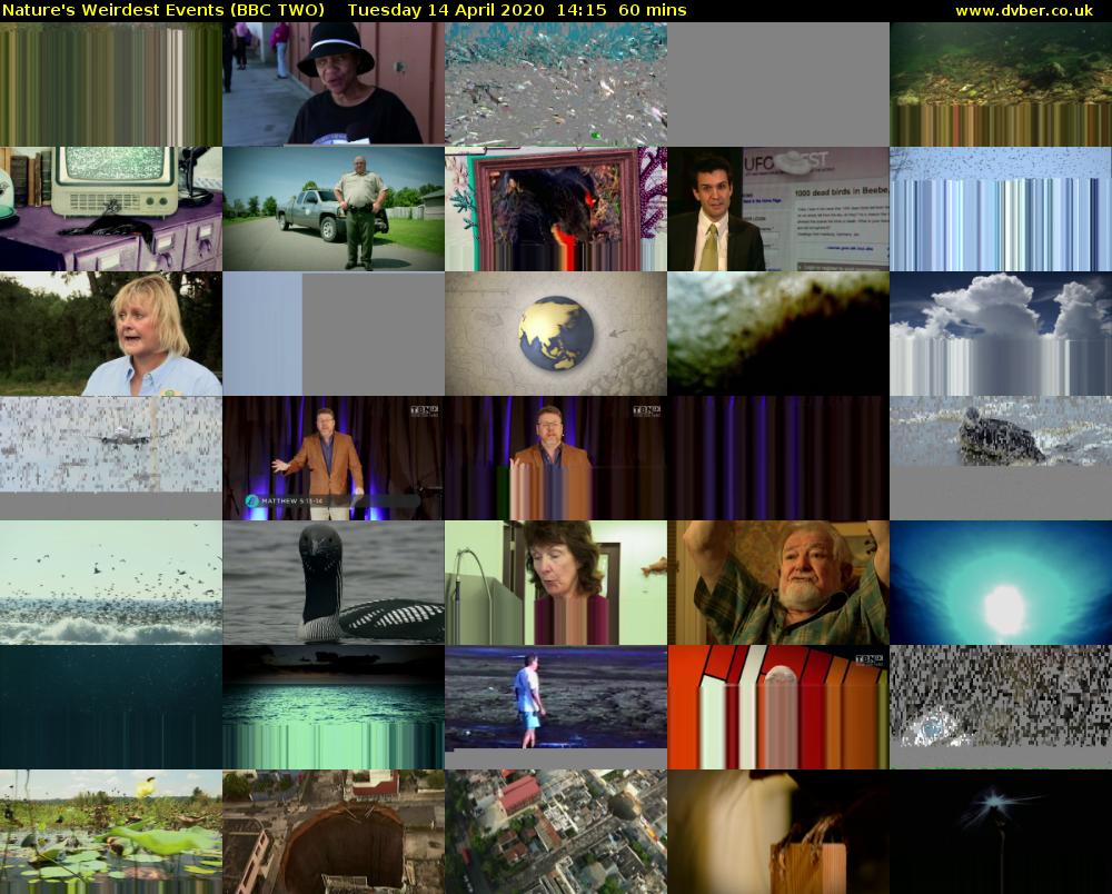 Nature's Weirdest Events (BBC TWO) Tuesday 14 April 2020 14:15 - 15:15