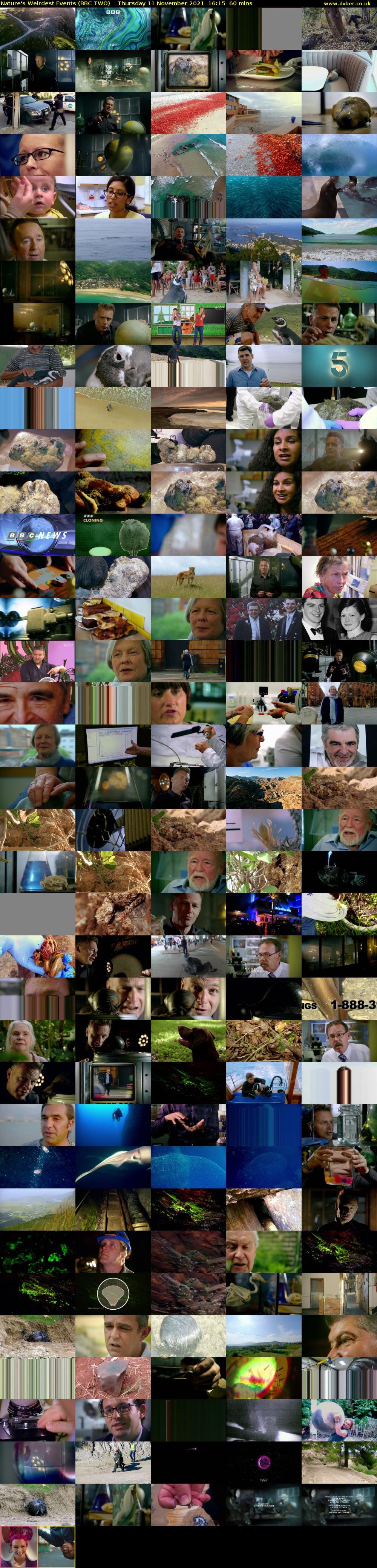 Nature's Weirdest Events (BBC TWO) Thursday 11 November 2021 16:15 - 17:15