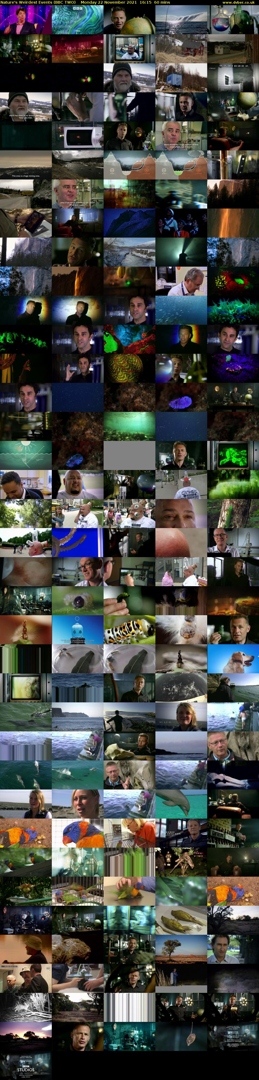 Nature's Weirdest Events (BBC TWO) Monday 22 November 2021 16:15 - 17:15