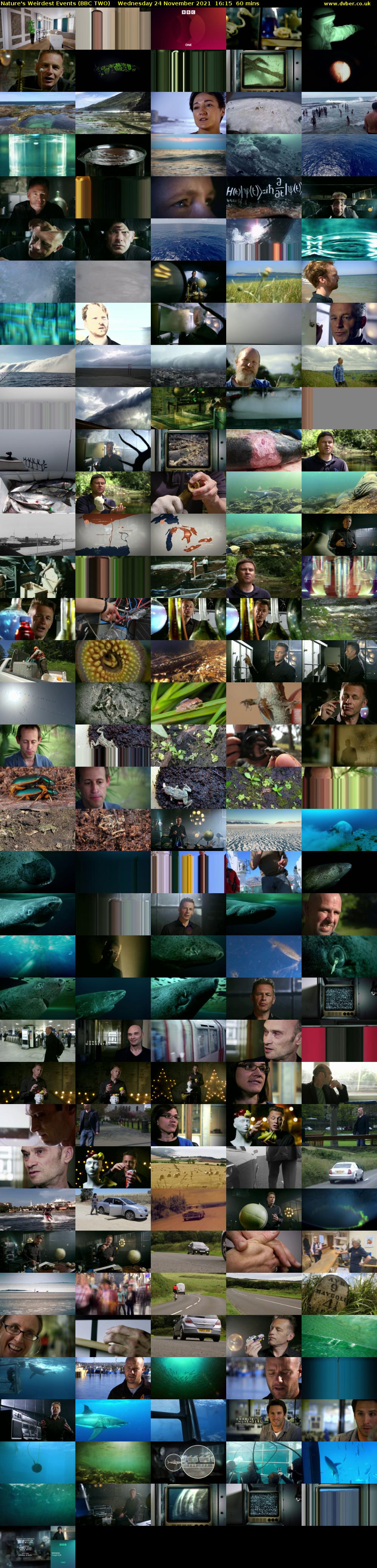 Nature's Weirdest Events (BBC TWO) Wednesday 24 November 2021 16:15 - 17:15