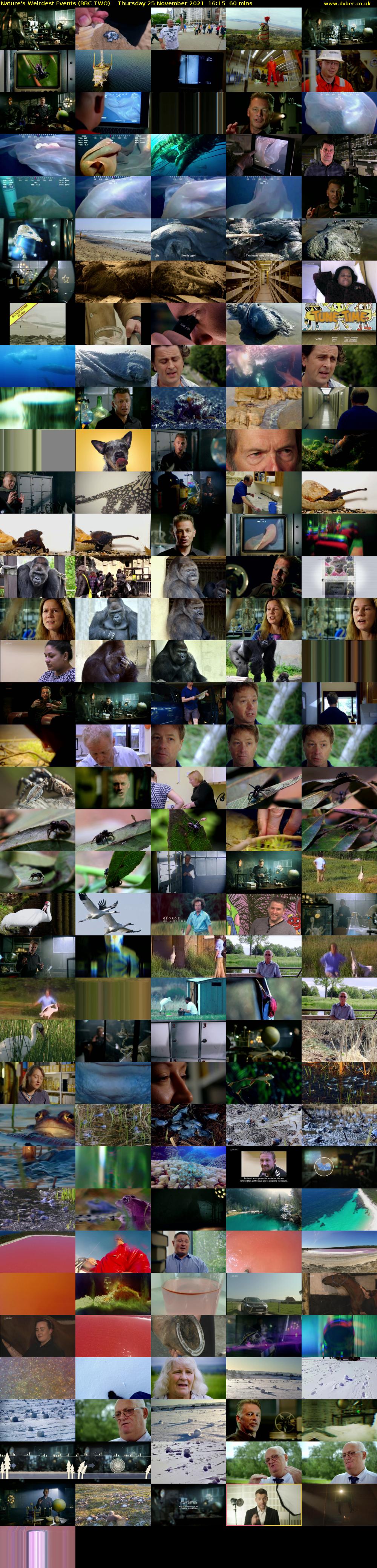 Nature's Weirdest Events (BBC TWO) Thursday 25 November 2021 16:15 - 17:15