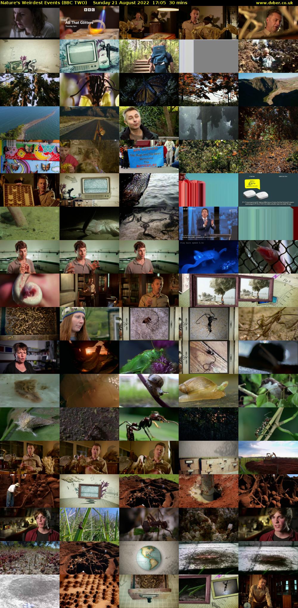 Nature's Weirdest Events (BBC TWO) Sunday 21 August 2022 17:05 - 17:35