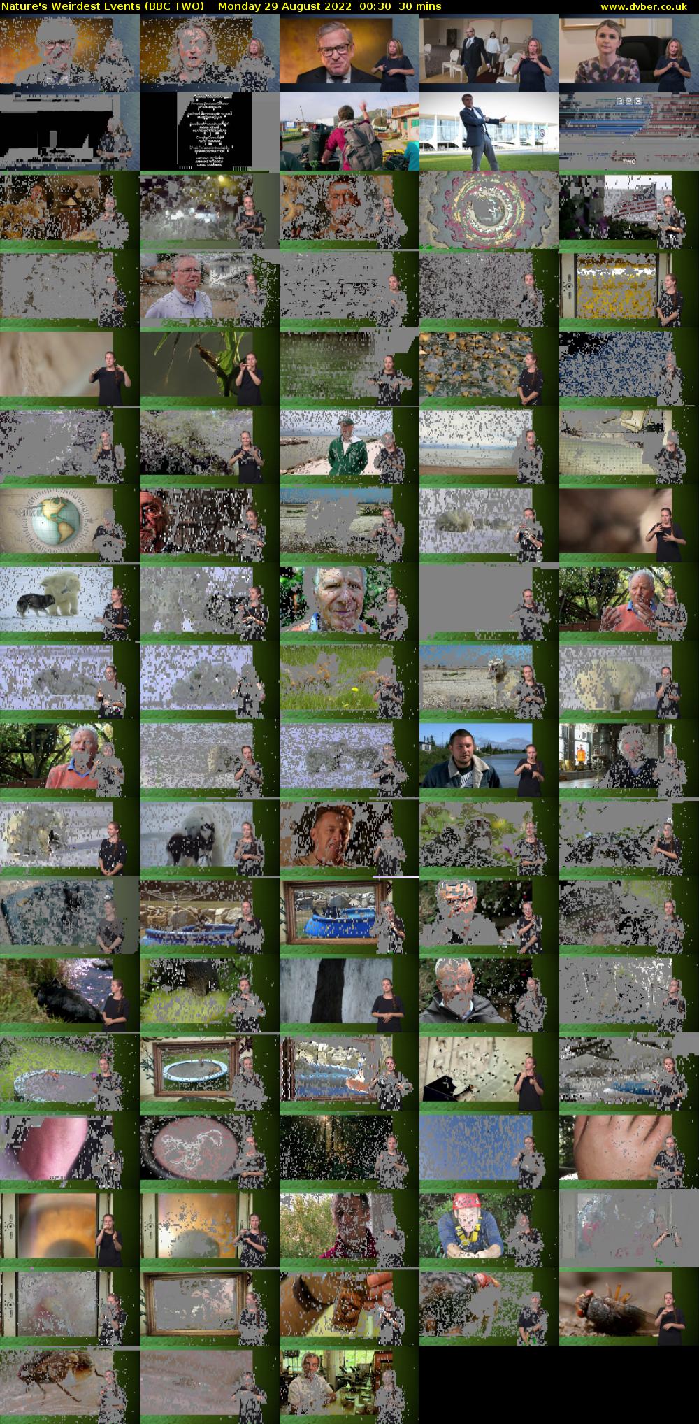 Nature's Weirdest Events (BBC TWO) Monday 29 August 2022 00:30 - 01:00