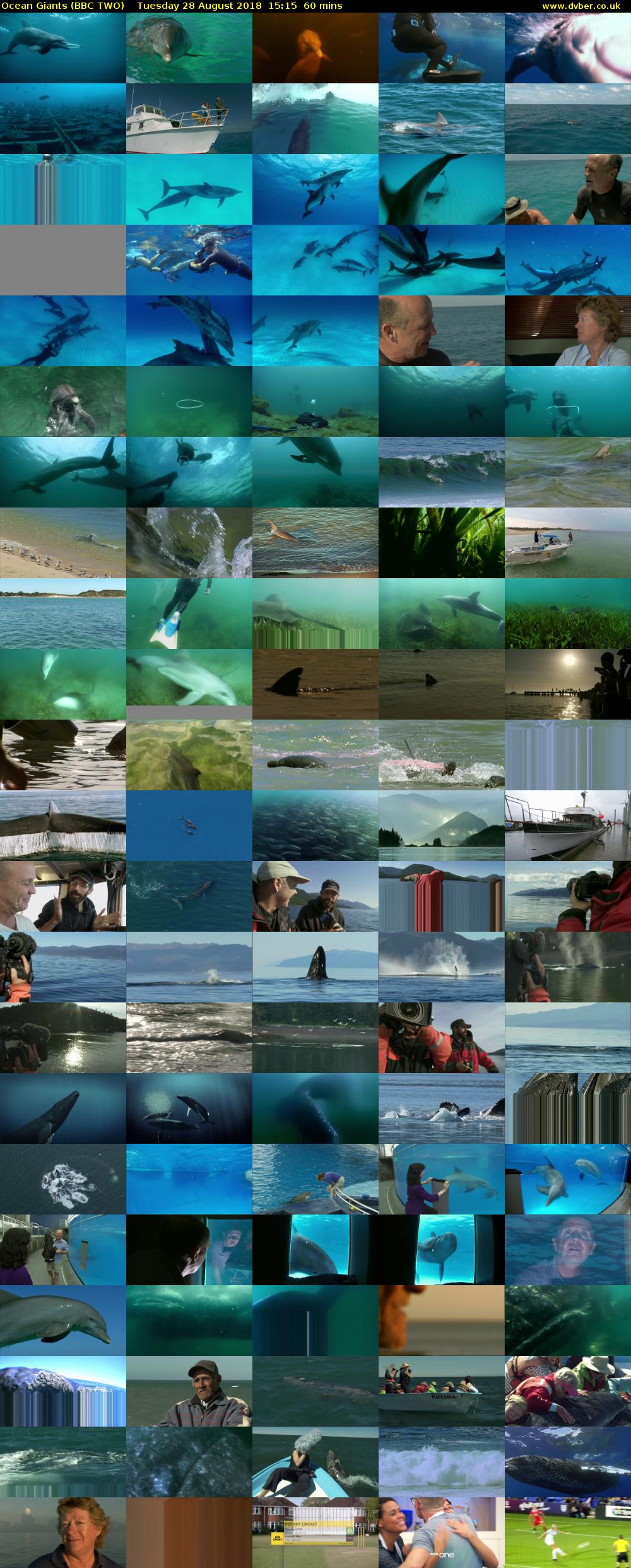 Ocean Giants (BBC TWO) Tuesday 28 August 2018 15:15 - 16:15