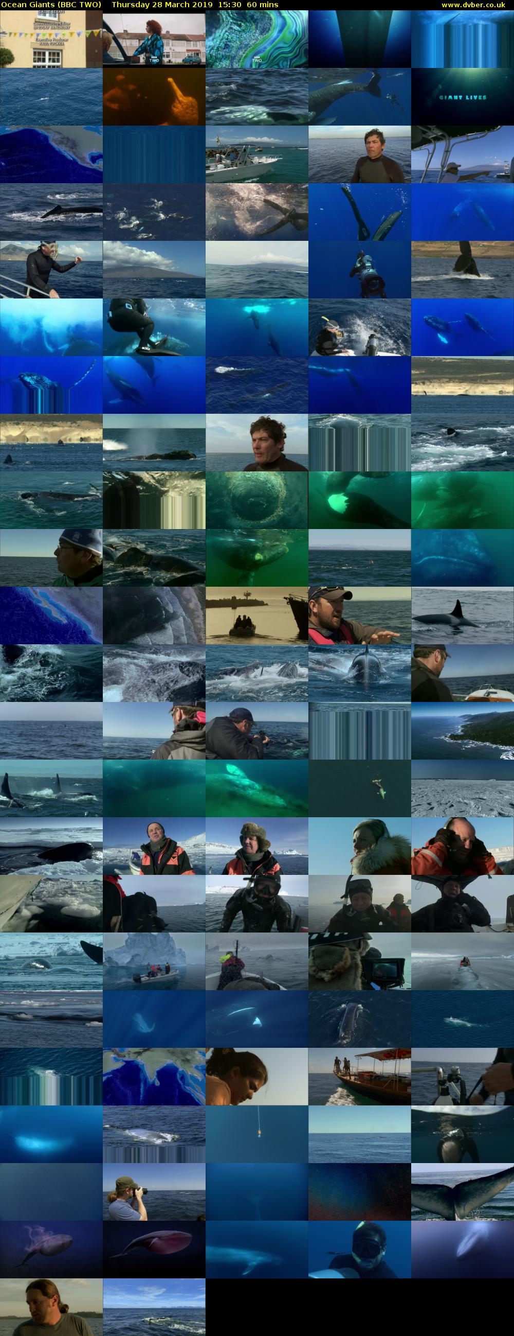 Ocean Giants (BBC TWO) Thursday 28 March 2019 15:30 - 16:30