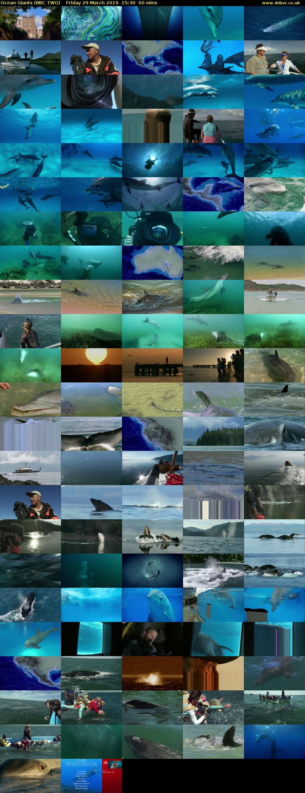 Ocean Giants (BBC TWO) Friday 29 March 2019 15:30 - 16:30