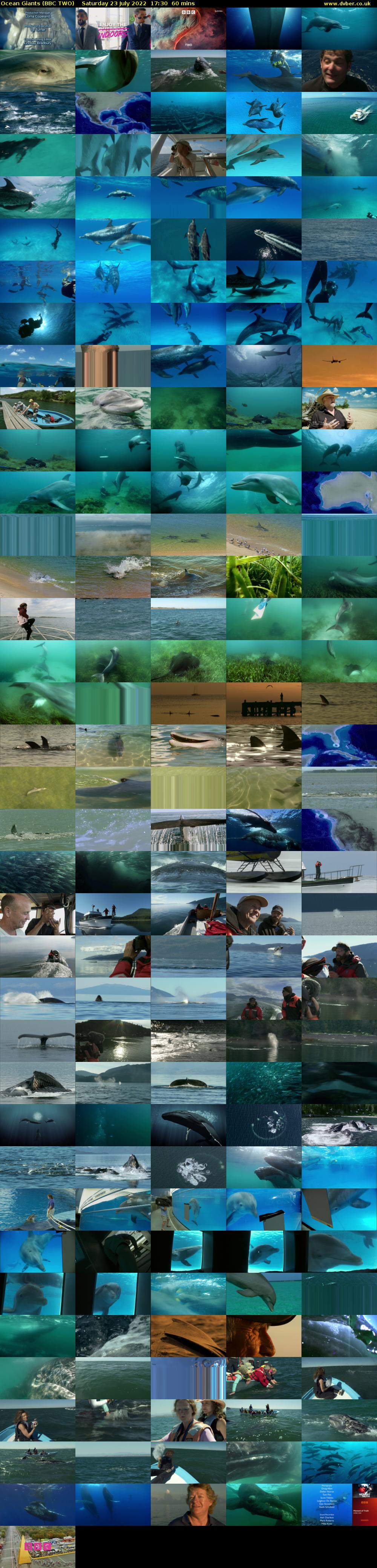 Ocean Giants (BBC TWO) Saturday 23 July 2022 17:30 - 18:30