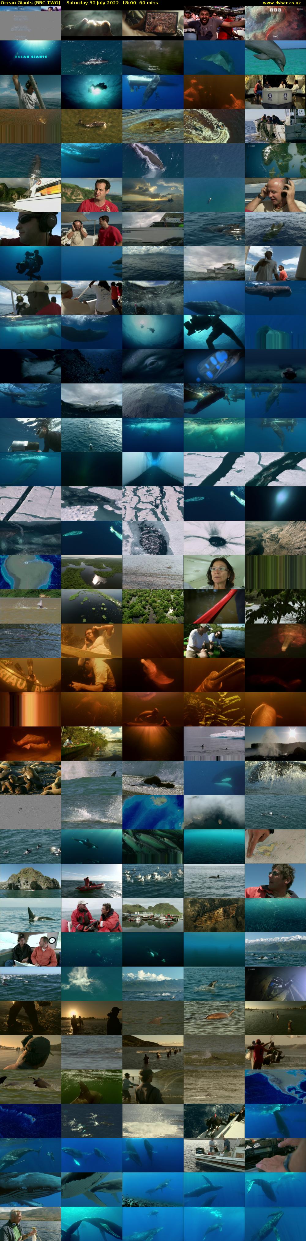 Ocean Giants (BBC TWO) Saturday 30 July 2022 18:00 - 19:00