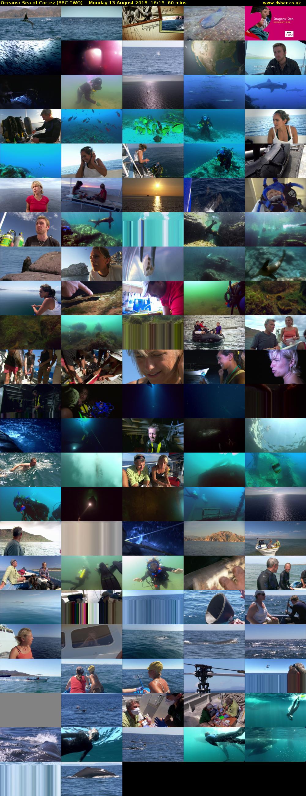 Oceans: Sea of Cortez (BBC TWO) Monday 13 August 2018 16:15 - 17:15