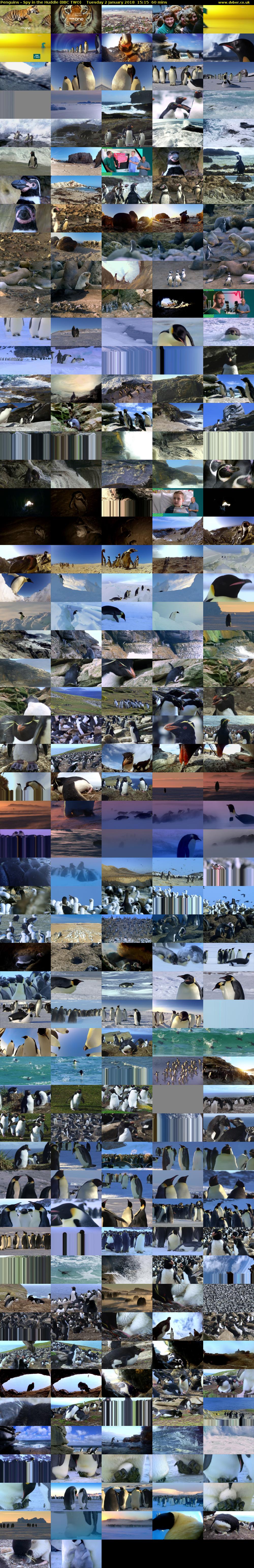 Penguins - Spy in the Huddle (BBC TWO) Tuesday 2 January 2018 15:15 - 16:15