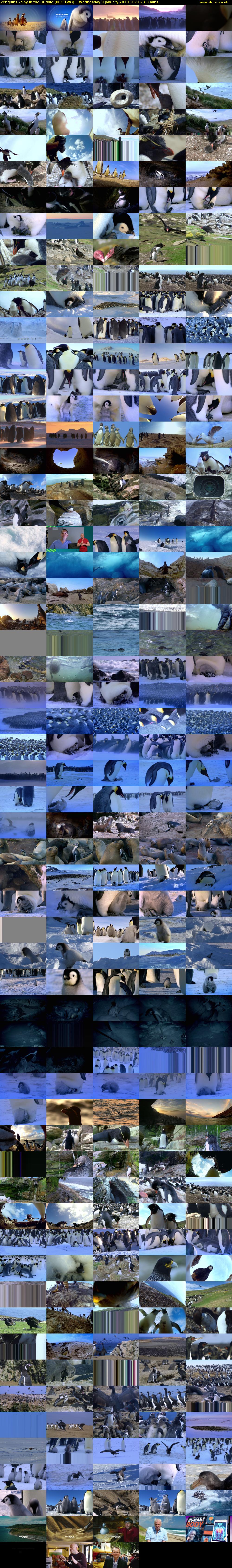 Penguins - Spy in the Huddle (BBC TWO) Wednesday 3 January 2018 15:15 - 16:15