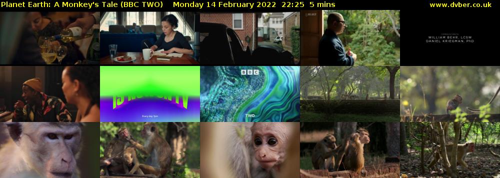 Planet Earth: A Monkey's Tale (BBC TWO) Monday 14 February 2022 22:25 - 22:30