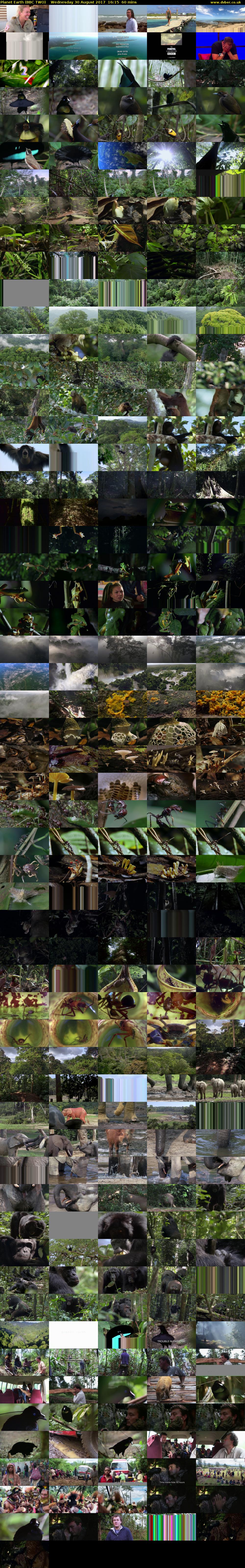 Planet Earth (BBC TWO) Wednesday 30 August 2017 16:15 - 17:15