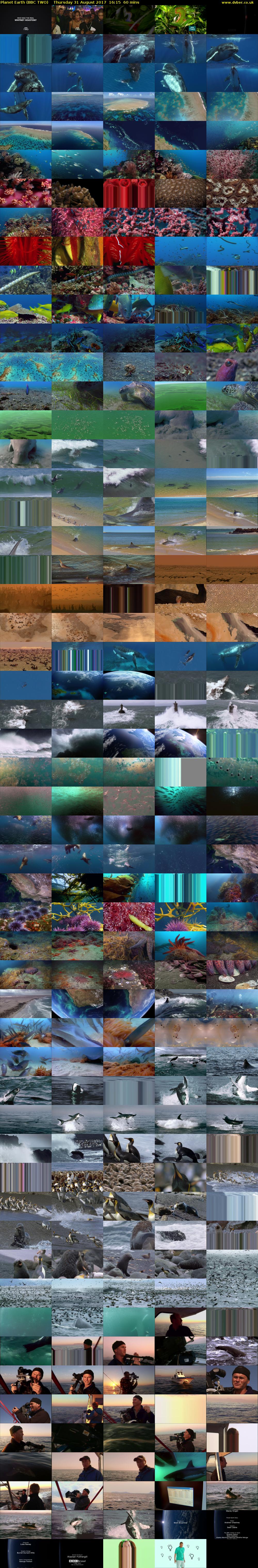 Planet Earth (BBC TWO) Thursday 31 August 2017 16:15 - 17:15